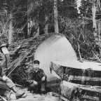 History of Lumberjacks & Logging in the 1800s - Photography