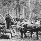 History of Lumberjacks & Logging in the 1800s - Photography