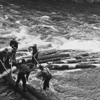 History of Lumberjacks & Logging in the 1800s - Photography