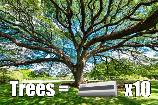 Trees3