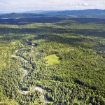 Montana forest lands