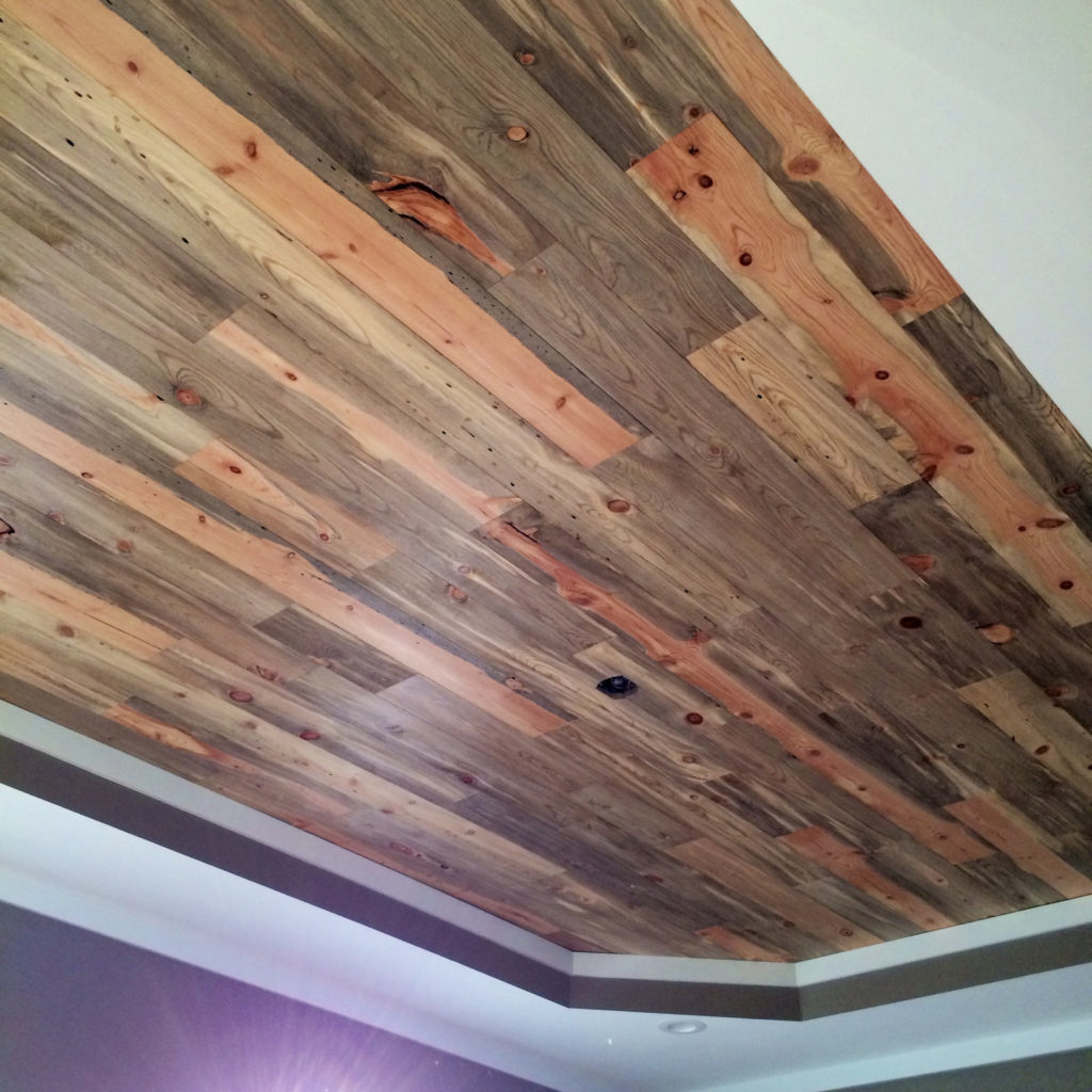 Beetle Kill Pine Ceilings: A Look Into Our Blue-Stain Ceiling Planks